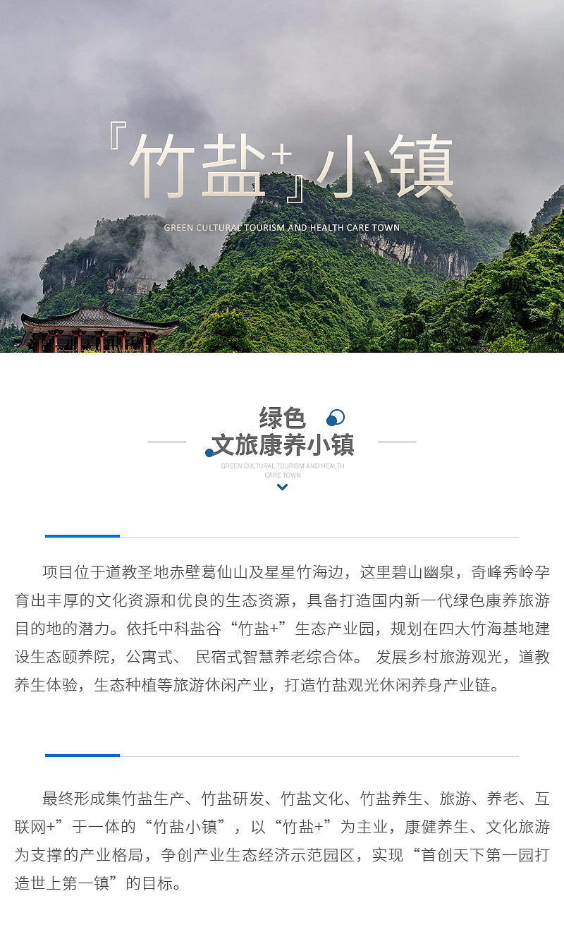 竹盐康养小镇.jpg